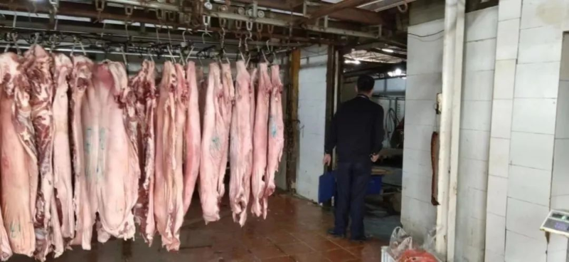 WP465S图片(1).jpeg 图片