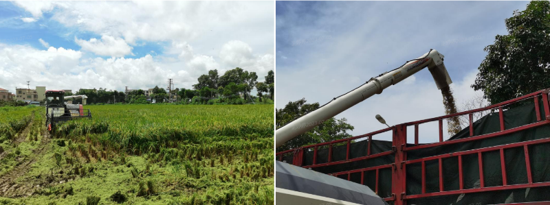 2023-07-05 16-09-26屏幕截图.png