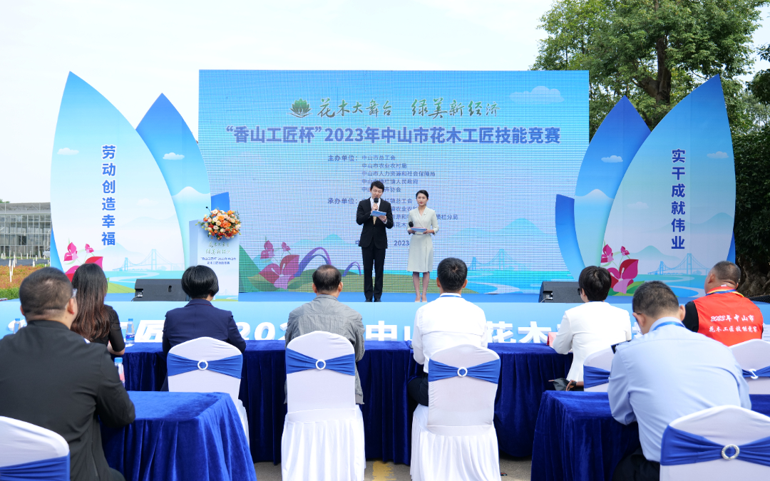 P1341654.JPG 图片