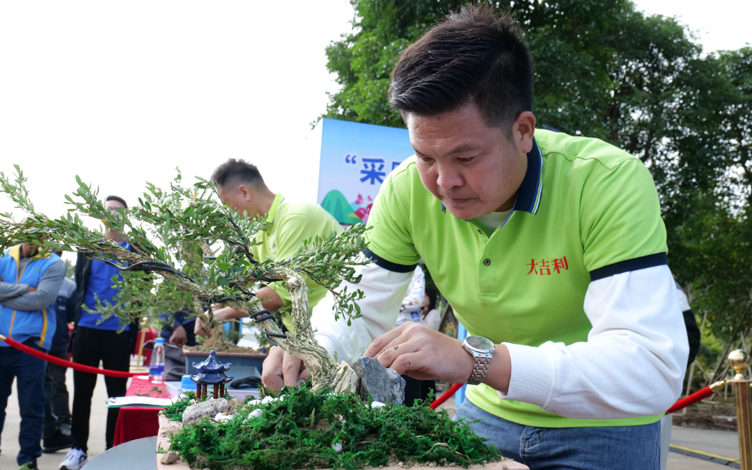 P1352392.JPG 图片