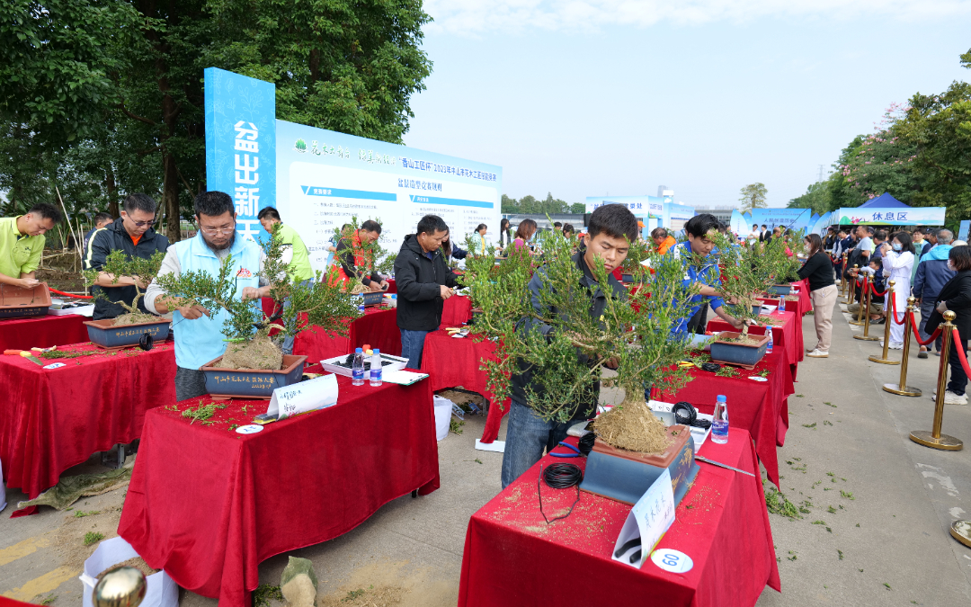 P1352166.JPG 图片