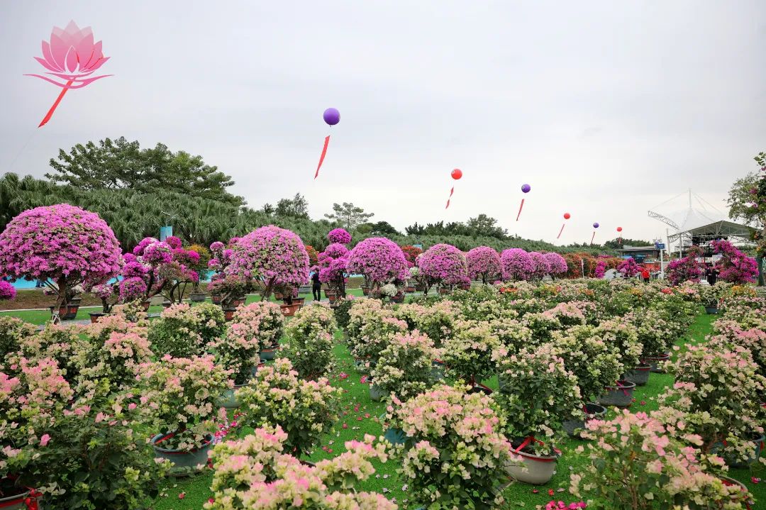 LOK_9112.JPG 图片