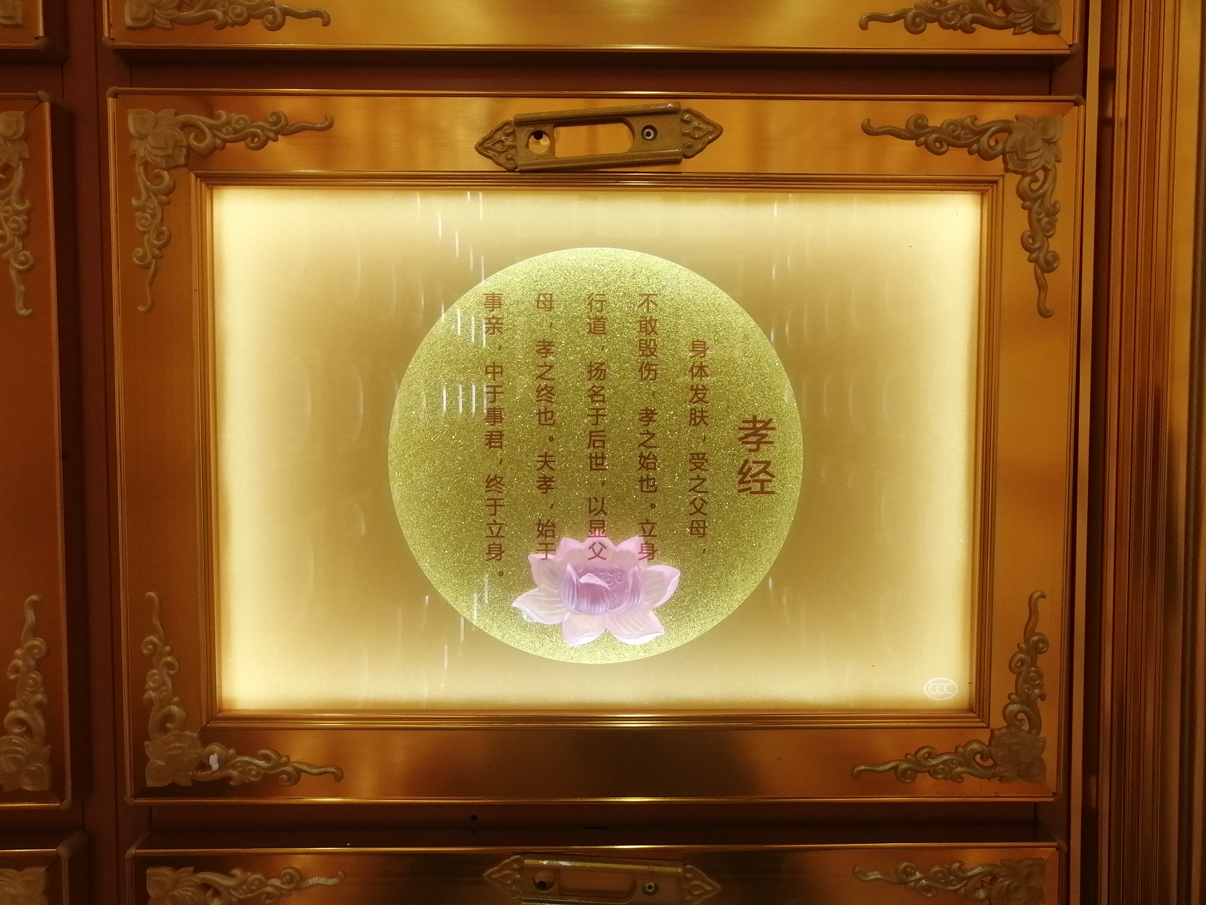 图片3.png