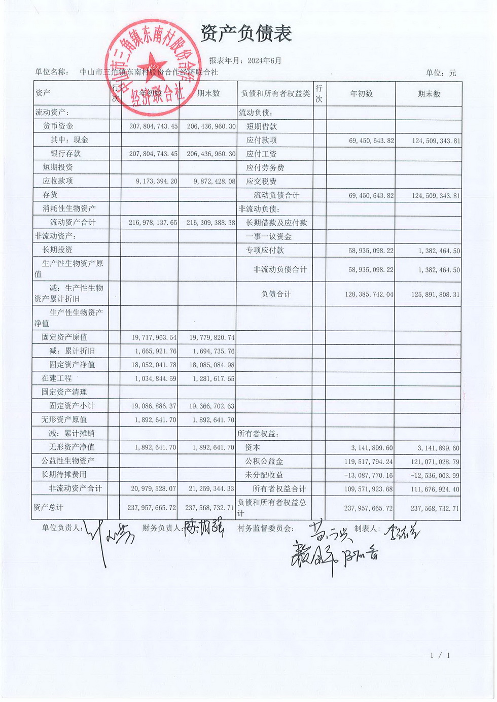 东南村2024年6月财务公开报表_页面_01.jpg