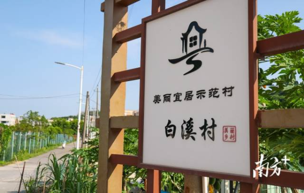 白溪村位于板芙镇东南部,东靠五桂山生态保护区。 南方+ 叶志文 拍摄