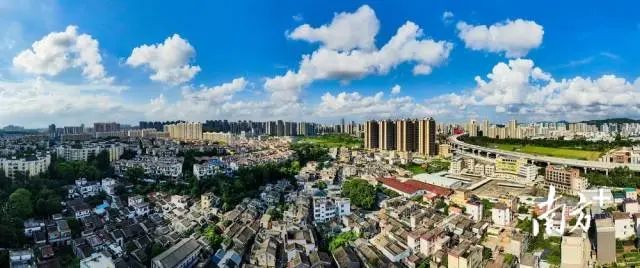 今年5月,沙溪近年来首次登上“2024全国镇域经济500强”榜单,排名上升超过200位。图为鸟瞰沙溪镇。 南方+ 叶志文 拍摄 图片