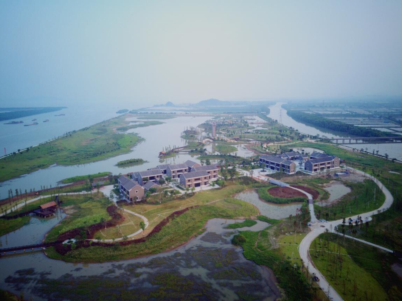 翠亨国家湿地公园