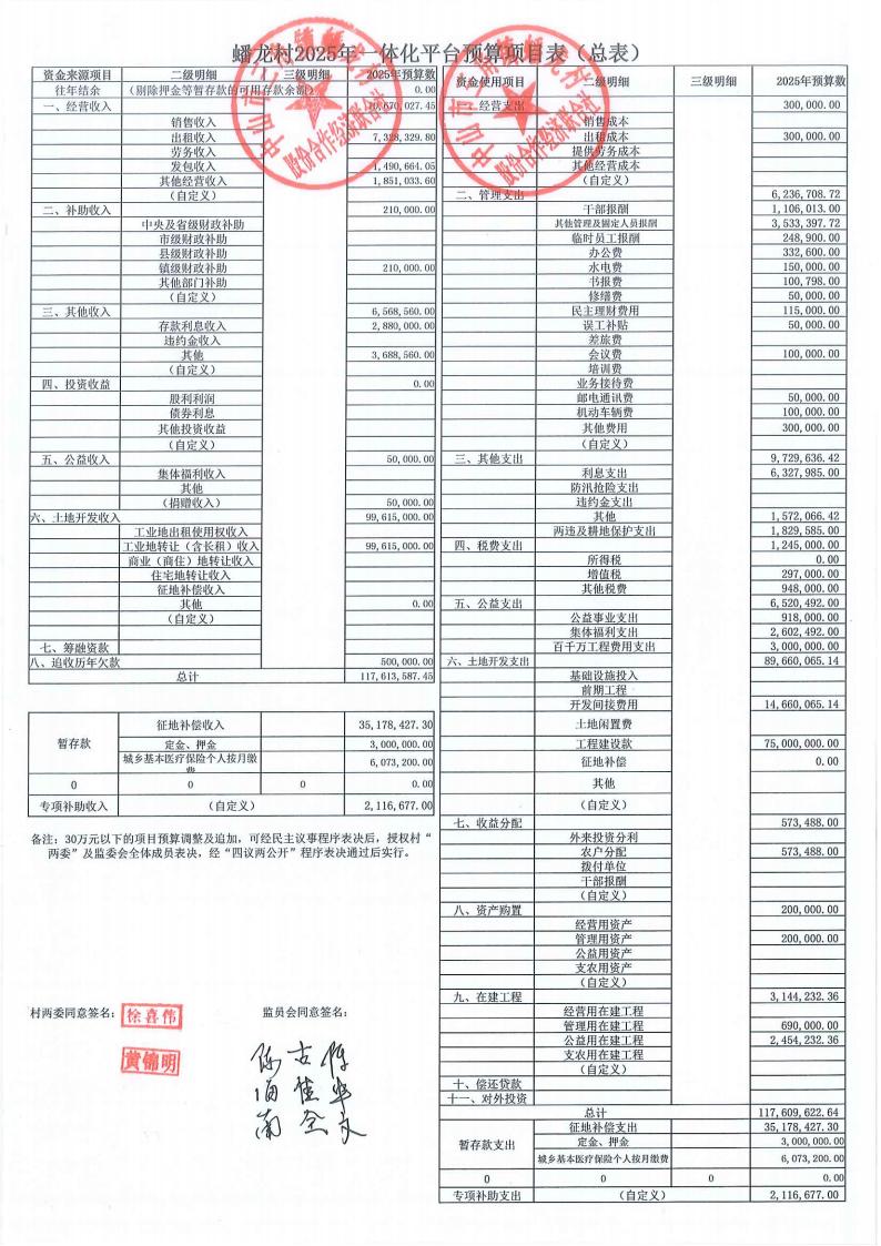 蟠龙村2024年财务公开报表年报_14.jpg