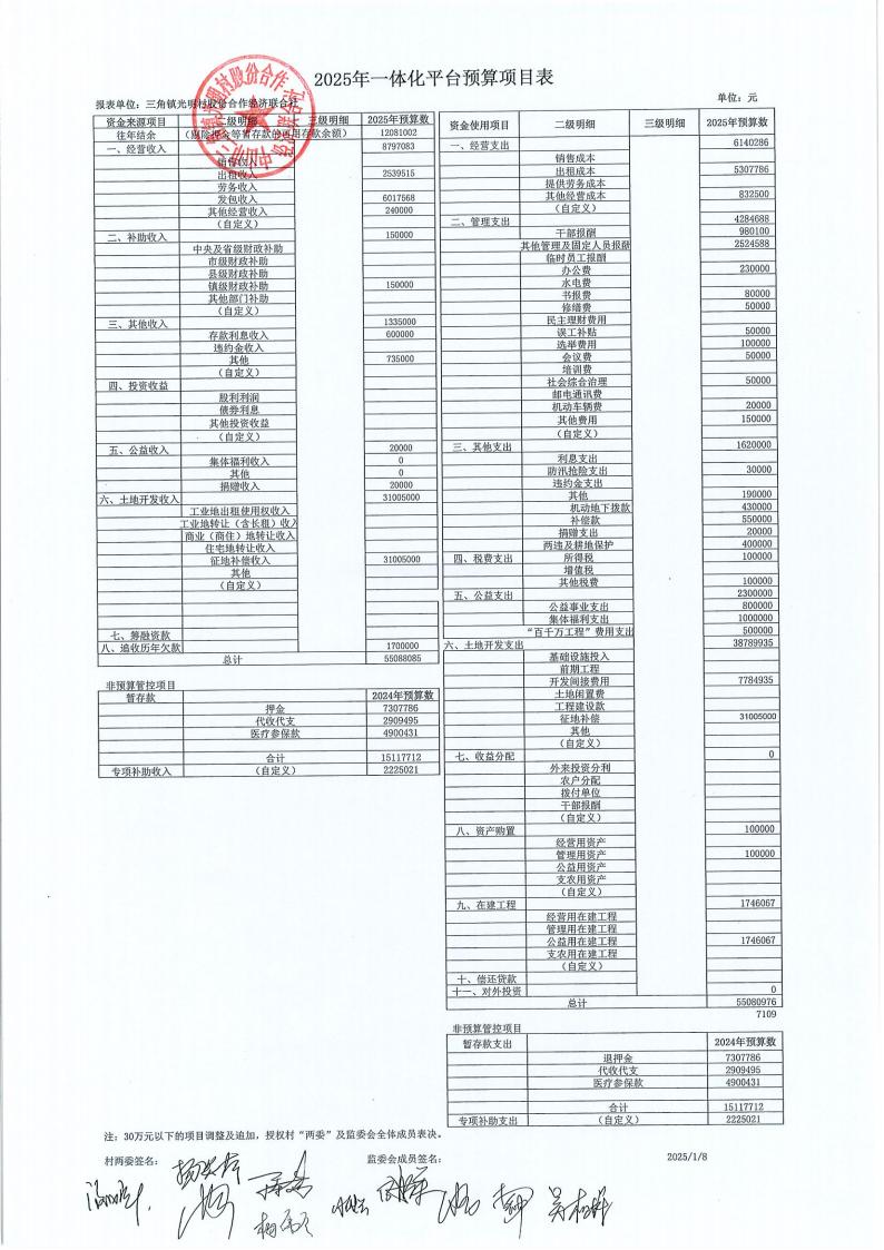 光明村2024年财务公开年报_01.jpg