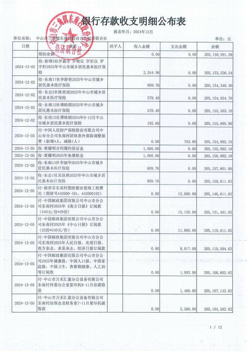 东南村2024年12月财务公开报表_02.jpg