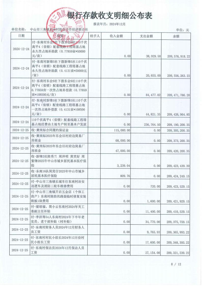 东南村2024年12月财务公开报表_09.jpg