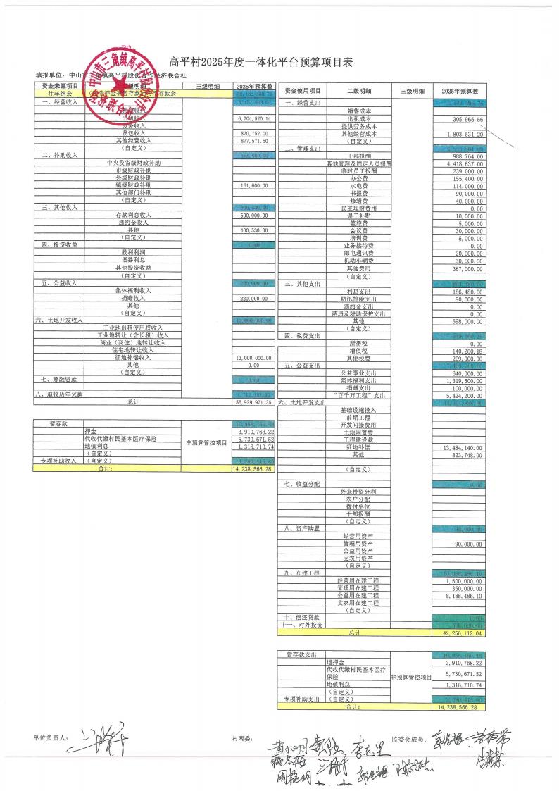 高平村2024年财务公开年报_08.jpg