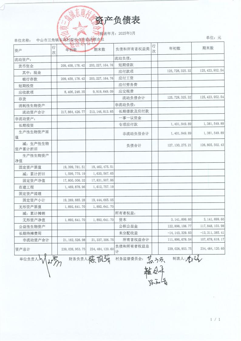 东南村2025年3月财务公开_00.jpg