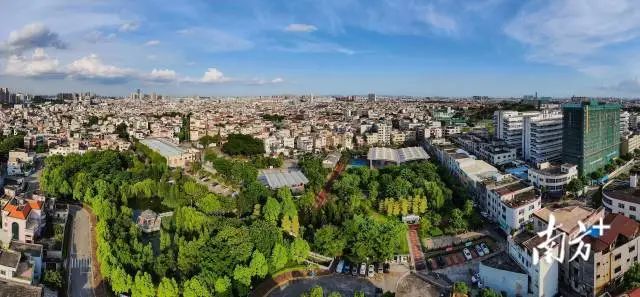 2024年,永宁社区村集体收入达4.2亿元,社区居民每股分红超1.2万元。叶志文 摄