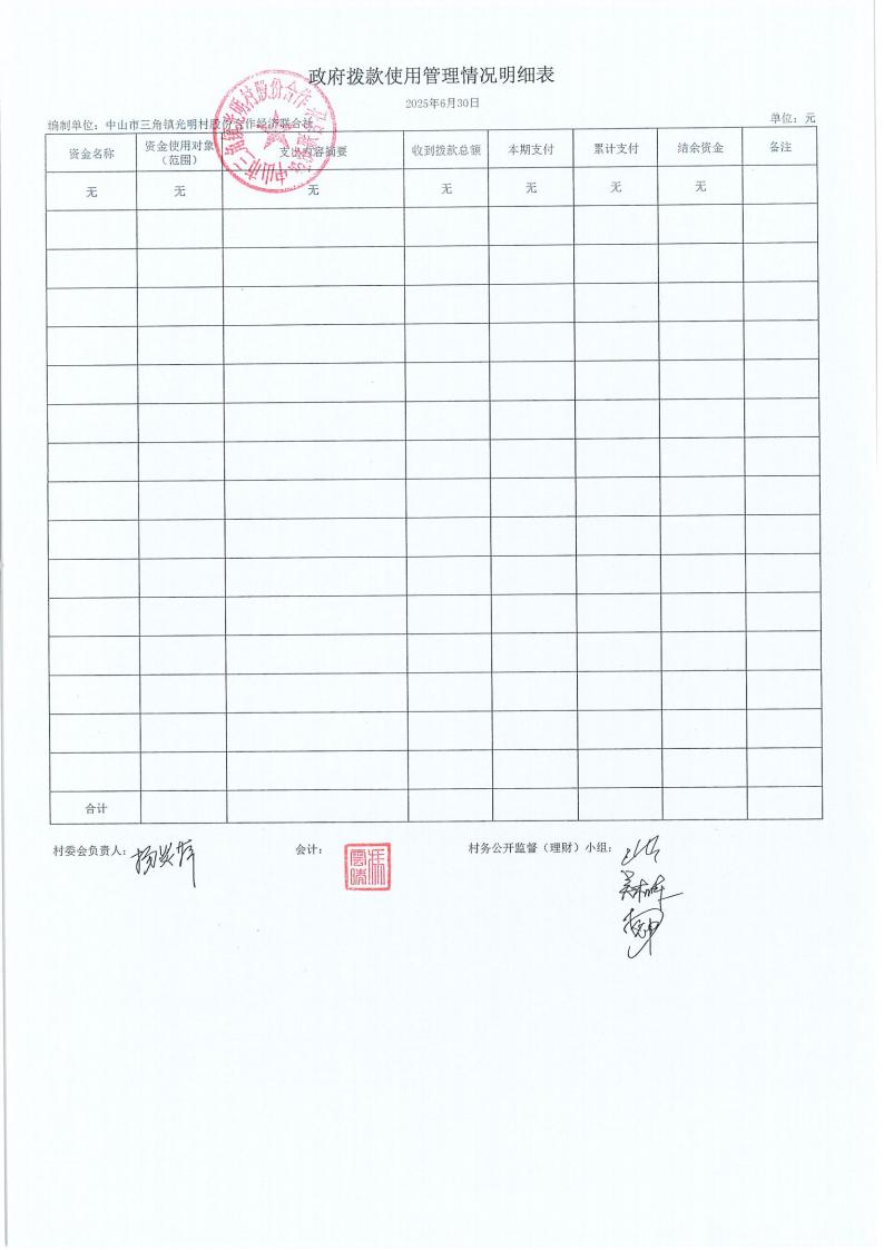 光明村2025年6月财务公开报表_20.jpg