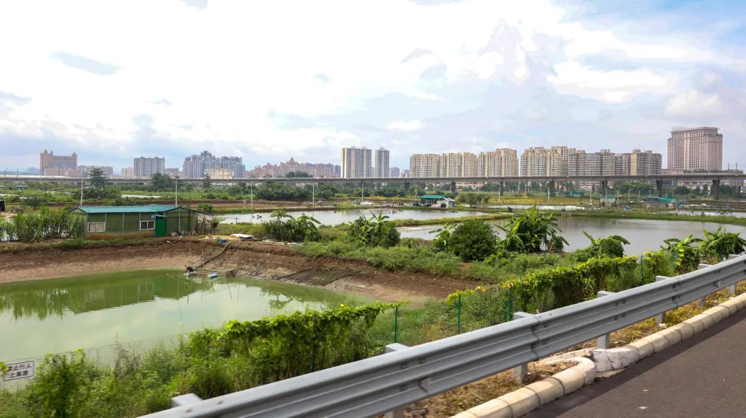 胜龙村、坦背村广珠西沿线问题点 (2).jpg