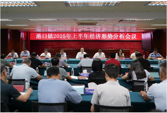 背水一战拼经济！港口镇召开2025年上半年经济形势分析会议.png