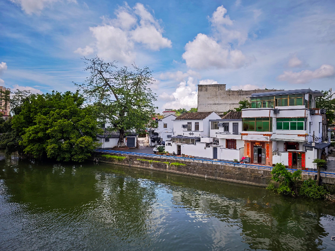 社会力量助力“百千万工程”，沙溪镇乡村风貌提颜增质